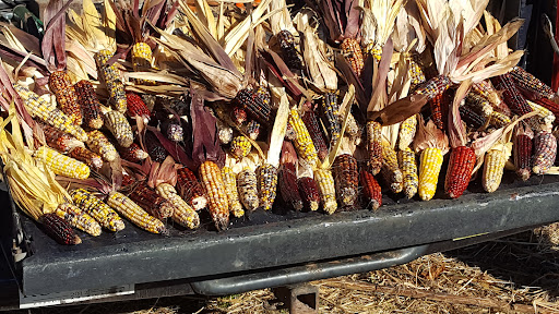 Matt’s Farm Market