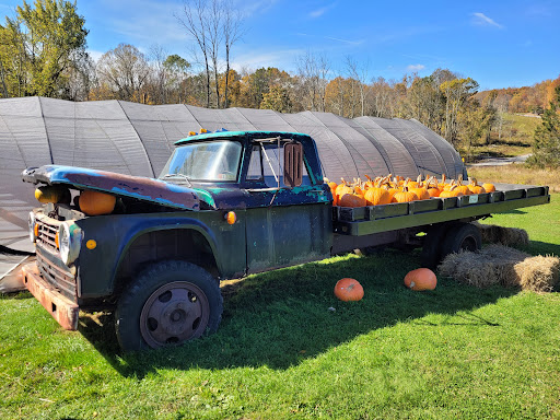 Rickards-Cider-Mill-Farm-in-Pennsylvania
