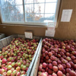 Ritters-Cider-Mill-Farm-in-Pennsylvania