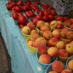 Vailland-farm-stand-Nursery-Farm-in-Pennsylvania
