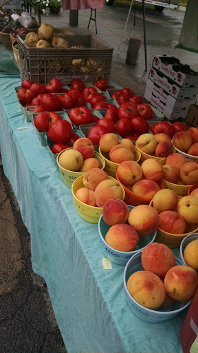 Vailland-farm-stand-Nursery-Farm-in-Pennsylvania