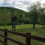 Apple Grove Park Nature Preserve in Honesdale Pennsylvania