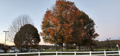 Carlton Drake Memorial Park