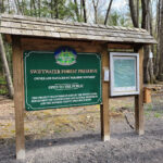 Swiftwater Forest Preserve Hiking Area in Cresco Pennsylvania
